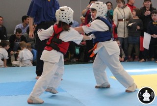 занятия каратэ для детей (241)